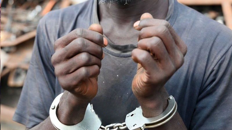 Mbour : un commerçant condamné après la revente non autorisée de véhicules et d’engins agricoles