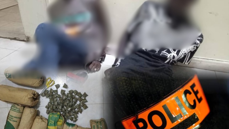 Fatick : deux individus arrêtés avec 54 kg de produit illicite lors d’une opération en zone forestière