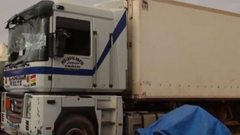 Accident sur l’axe Ngaye Méckhé–Tivaouane : un troupeau décimé par un camion Accident sur l’axe Ngaye Méckhé–Tivaouane : un troupeau décimé par un camion