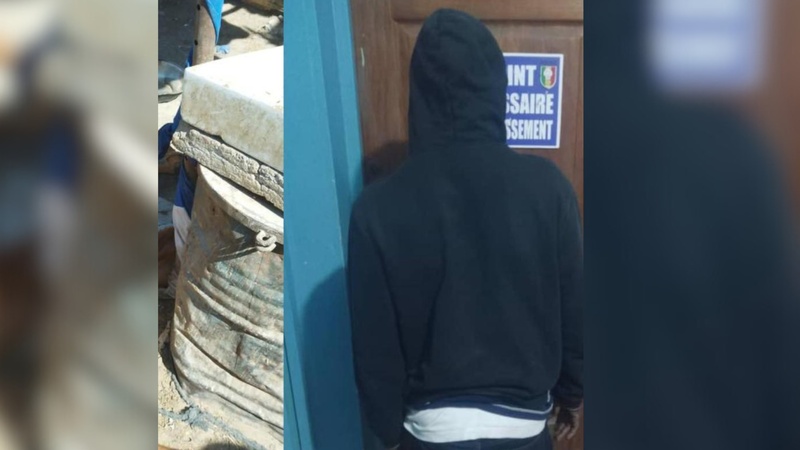 Grand-Yoff : un charretier interpellé pour une opération d’abattage non autorisée au rond-point Liberté 6 Grand-Yoff : un charretier interpellé pour une opération d’abattage non autorisée au rond-point Liberté 6