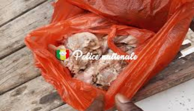 Liberté 6 : un homme arrêté pour avoir tenté de vendre la viande d’un bœuf mort Liberté 6 : un homme arrêté pour avoir tenté de vendre la viande d’un bœuf mort