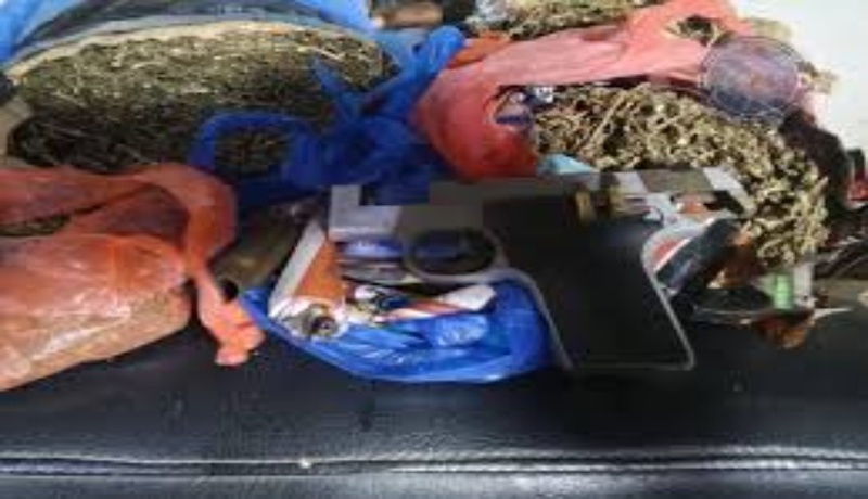 Sédhiou – Trafic de chanvre indien et détention d’armes Sédhiou – Trafic de chanvre indien et détention d’armes