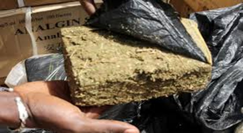 Ziguinchor : la Section de recherches démantèle un réseau de trafic de chanvre indien à Samine