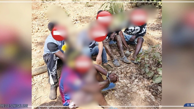 Kédougou : cinq ressortissants étrangers interpellés pour exploitation aurifère illégale dans la zone de la Falémé