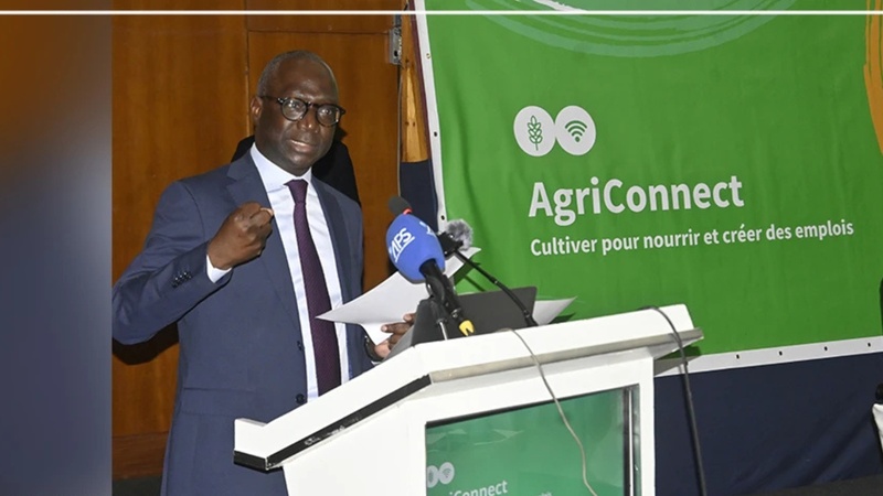 Agriculture : le Sénégal sollicite 1 250 milliards FCFA pour accélérer la souveraineté alimentaire