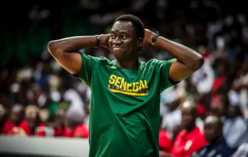 Basket féminin : Cheikh Sarr nommé sélectionneur des Lionnes Basket féminin : Cheikh Sarr nommé sélectionneur des Lionnes