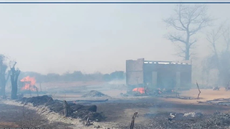 Koungheul : un incendie ravage plus d’une centaine de cases à Touba Thiarène