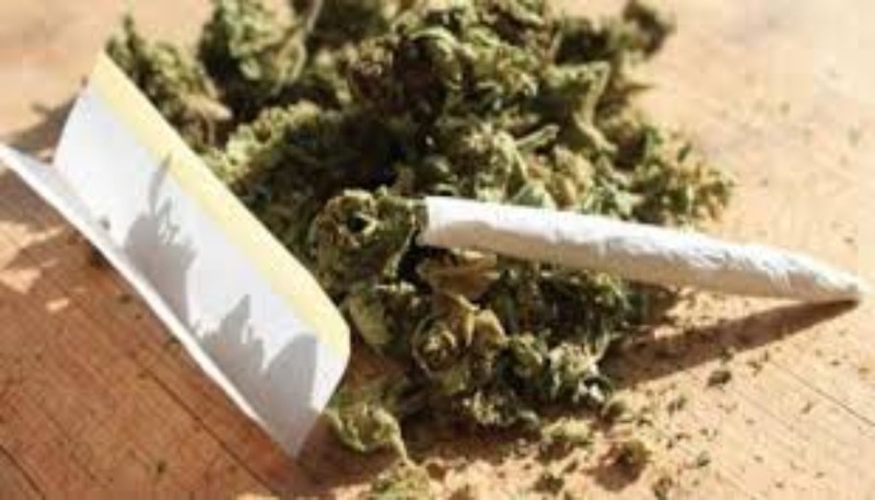 Tribunal de Thiès : deux mois ferme requis contre un conducteur d’engins Tribunal de Thiès : deux mois ferme requis contre un conducteur d’engins