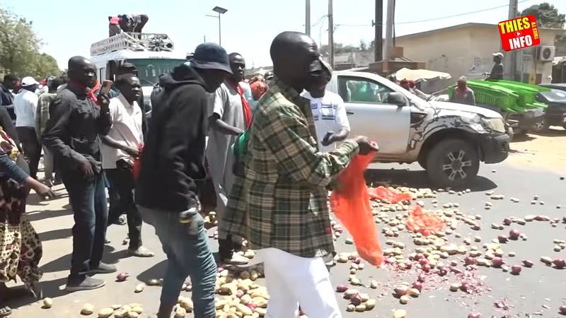 Colère dans les Niayes : des producteurs jettent des tonnes de pommes de terre et de légumes Colère dans les Niayes : des producteurs jettent des tonnes de pommes de terre et de légumes
