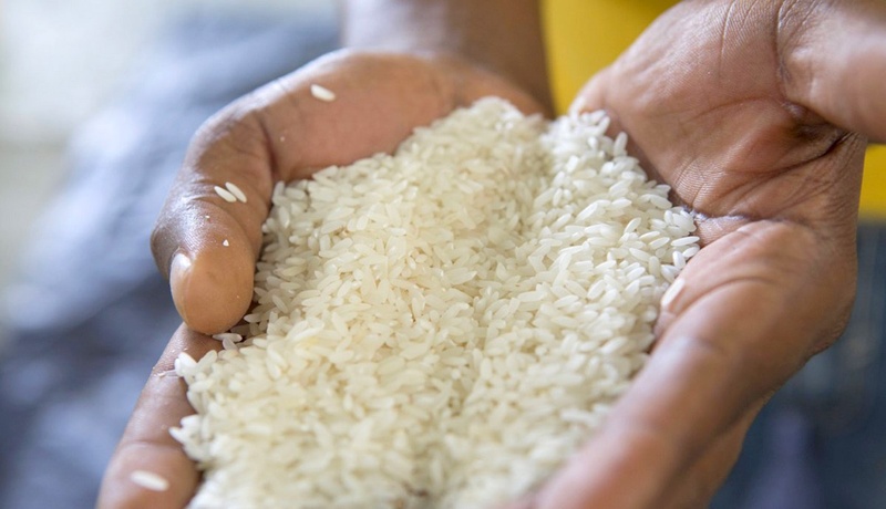 Sénégal : une subvention de 50 FCFA par kilo pour encourager la consommation de riz local Sénégal : une subvention de 50 FCFA par kilo pour encourager la consommation de riz local