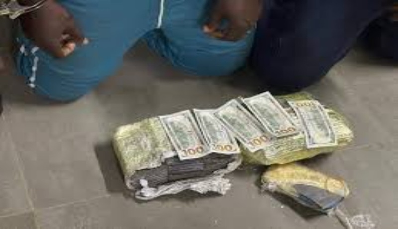 Ziguinchor : importante saisie de faux billets de 100 dollars