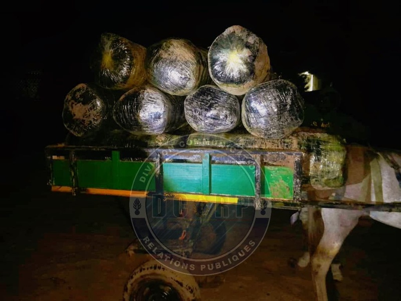 Mbour : importante saisie de chanvre indien sur la plage de Warang Mbour : importante saisie de chanvre indien sur la plage de Warang