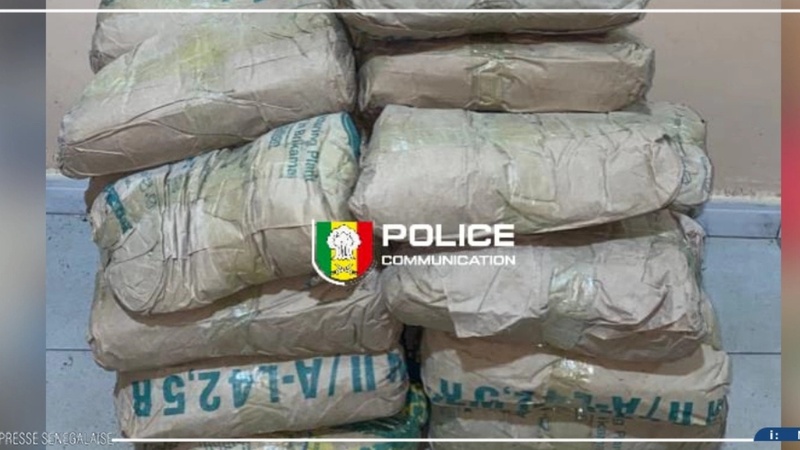 Kaolack : 25 kg de chanvre saisis lors d’une opération ciblée