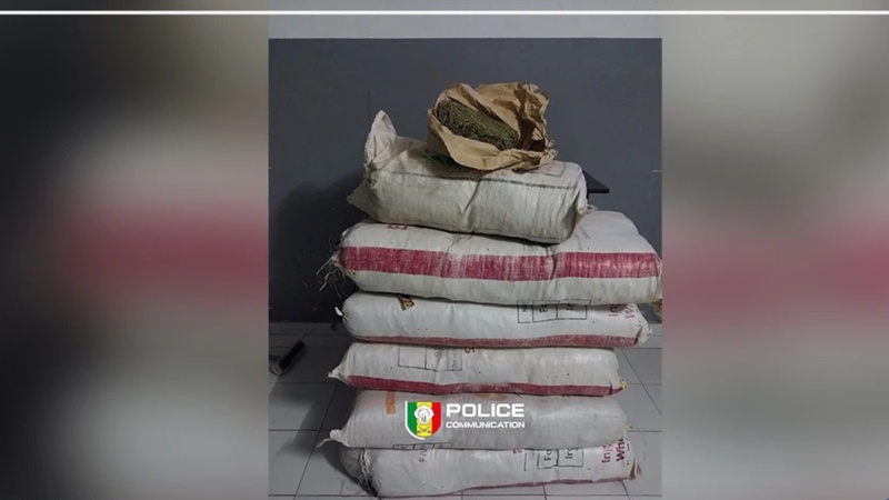 Sédhiou : 80 kilos de chanvre saisis après une interception nocturne Sédhiou : 80 kilos de chanvre saisis après une interception nocturne