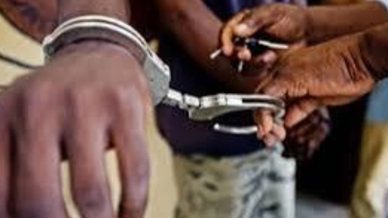 Dakar : saisie de 3 000 comprimés de Tramadol Dakar : saisie de 3 000 comprimés de Tramadol