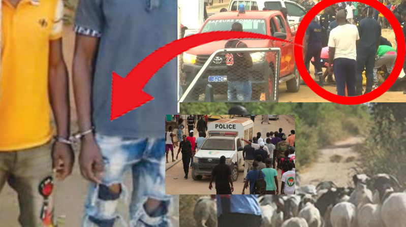 Culture de chanvre indien à domicile : un quinquagénaire interpellé à Grand-Thiès