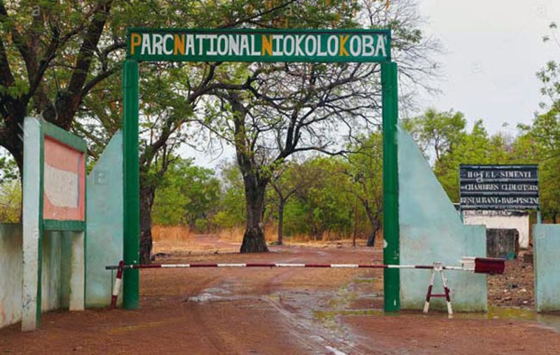 Tambacounda : un nouveau plan stratégique en préparation pour le parc du Niokolo-Koba