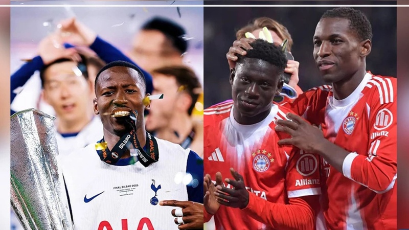 Mondial 2026 : les Lions bouclent leurs saisons entre trophées, qualifications et désillusions