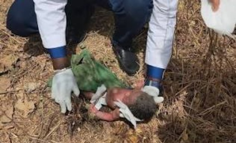 Koungheul : un bébé d’un mois abandonné dans une poubelle, un conducteur de moto-taxi lui sauve la vie Koungheul : un bébé d’un mois abandonné dans une poubelle, un conducteur de moto-taxi lui sauve la vie