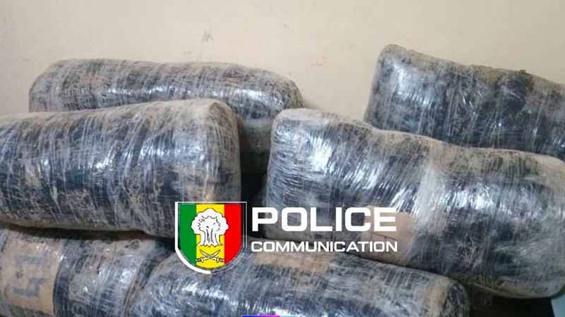 Mbour : plus de 259 kg de chanvre indien saisis, deux personnes interpellées