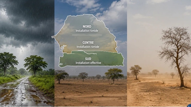 ANACIM : le sud du Sénégal entre pleinement dans l'hivernage, les pluies restent faibles ailleurs  Meta description :