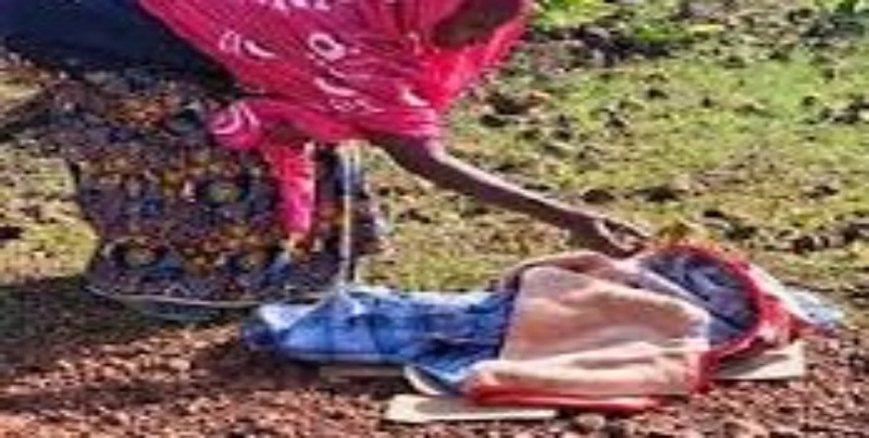 Découverte tragique à Ziguinchor : un bébé retrouvé sans vie près de la route d'Oussouye Découverte tragique à Ziguinchor : un bébé retrouvé sans vie près de la route d'Oussouye