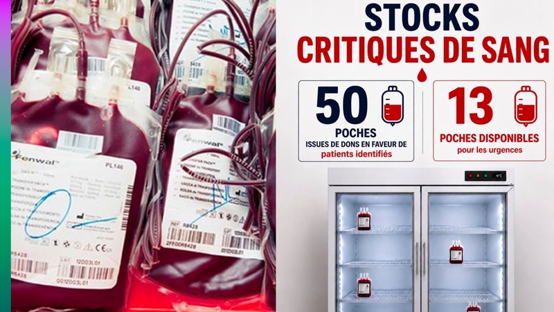 Alerte sur les réserves de sang : le CNTS ne dispose plus que de 13 poches disponibles Alerte sur les réserves de sang : le CNTS ne dispose plus que de 13 poches disponibles