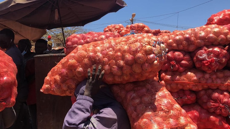 Sénégal : le gel des importations d’oignons officiellement levé Sénégal : le gel des importations d’oignons officiellement levé