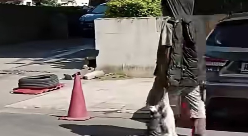 Vidéo virale sur des chats tués : un suspect conduit au commissariat du Plateau Vidéo virale sur des chats tués : un suspect conduit au commissariat du Plateau