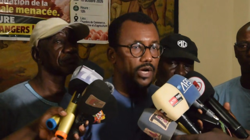 THIÈS : MAMADOU BA ALERTE SUR UN PROJET DE FERME D’UN MILLION DE POULES PONDEUSES ET LA CONCURRENCE DES INVESTISSEURS ÉTRANGERS