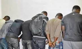 Sandiara : Déménagement d'un gang de voleur de porcs par la gendarmerie