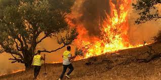 Violents incendies en Algérie : Nouveau bilan alarmant