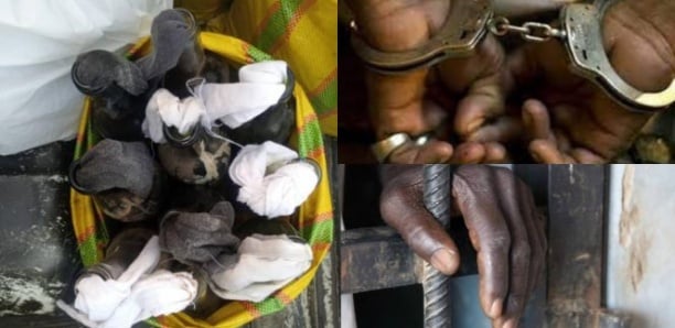 Arrestation d'un suspect prévoyant des actes subversifs à Tivaouane : C.T.Gaye en garde à vue Arrestation d'un suspect prévoyant des actes subversifs à Tivaouane : C.T.Gaye en garde à vue