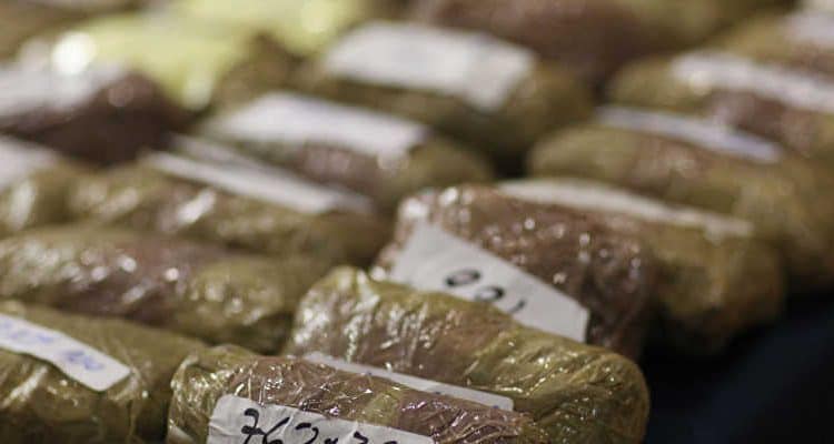 Kaolack : Les éléments de l'OCRTIS ont mis la main sur 150 kg de chanvre indien