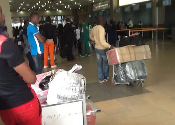 Maroc: 325 candidats à l'émigration clandestine seront rapatriés ce mardi par  voie terrestre Maroc: 325 candidats à l'émigration clandestine seront rapatriés ce mardi par  voie terrestre