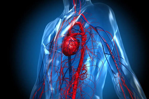 Voici le nombre de pas que vous devez faire par jour pour rester en bonne santé Voici le nombre de pas que vous devez faire par jour pour rester en bonne santé