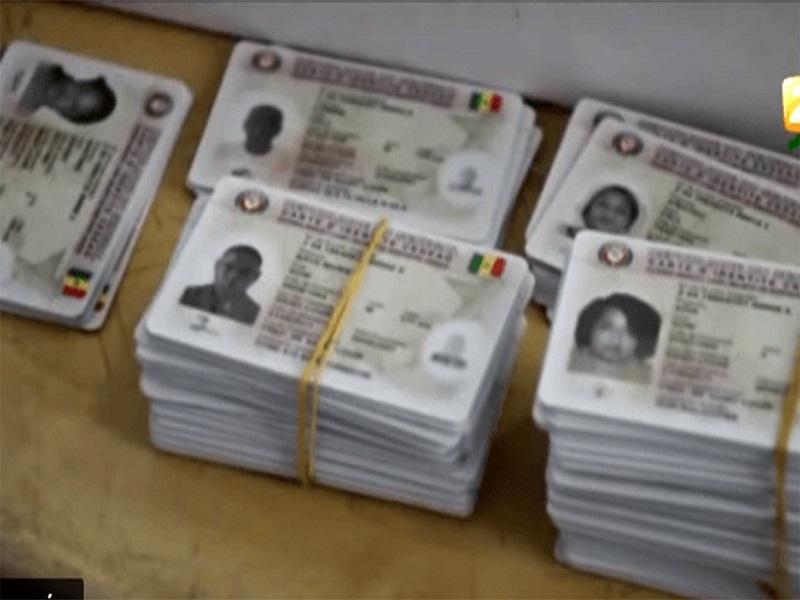 Matam : Plus de 5 000 Cartes d'Électeurs en Attente de Distribution Matam : Plus de 5 000 Cartes d'Électeurs en Attente de Distribution