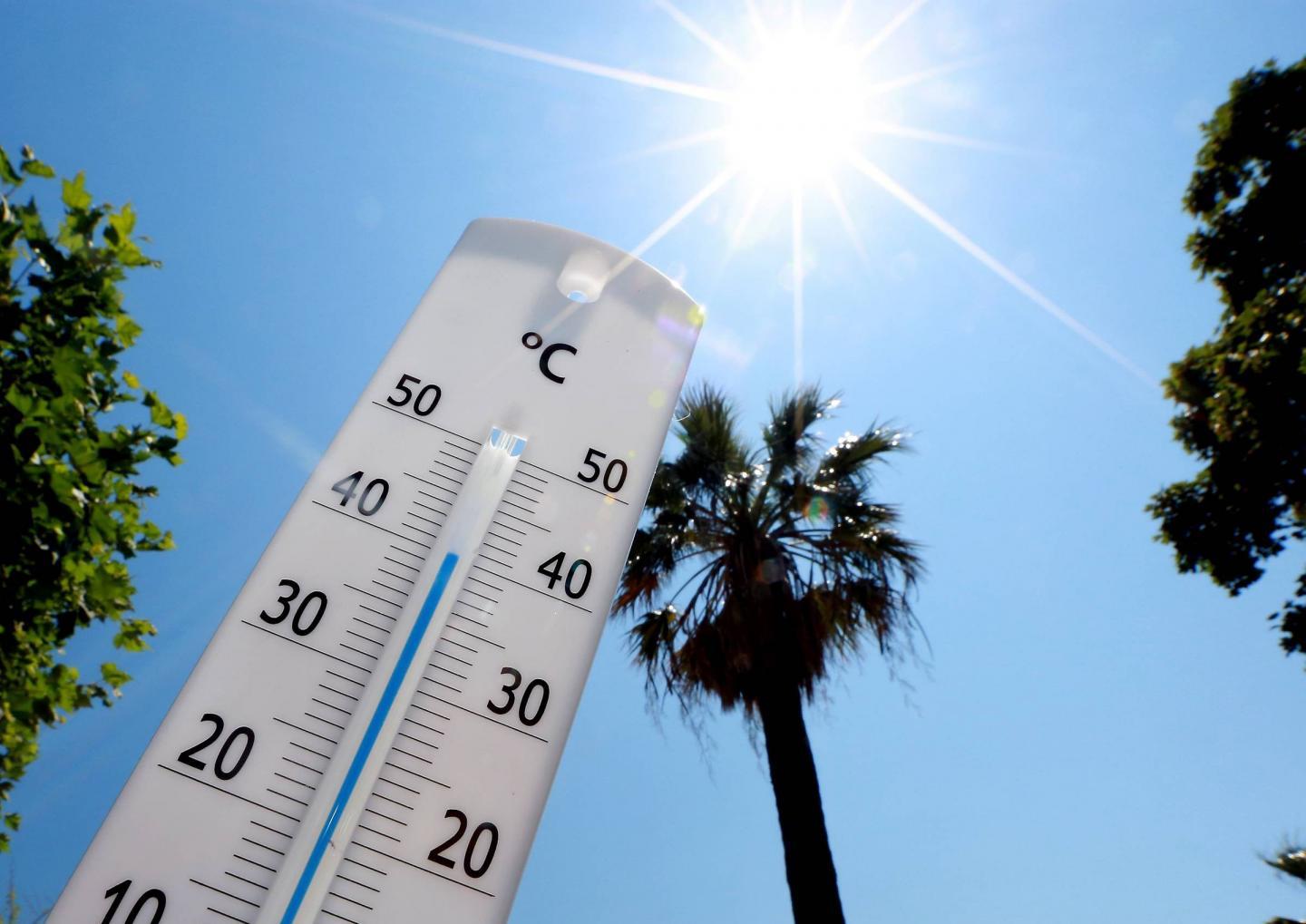 Prévisions Alarmantes de la NASA : Les Régions qui Deviendront Inhabitables d'ici 2050 à Cause des Chaleurs Extrêmes Prévisions Alarmantes de la NASA : Les Régions qui Deviendront Inhabitables d'ici 2050 à Cause des Chaleurs Extrêmes