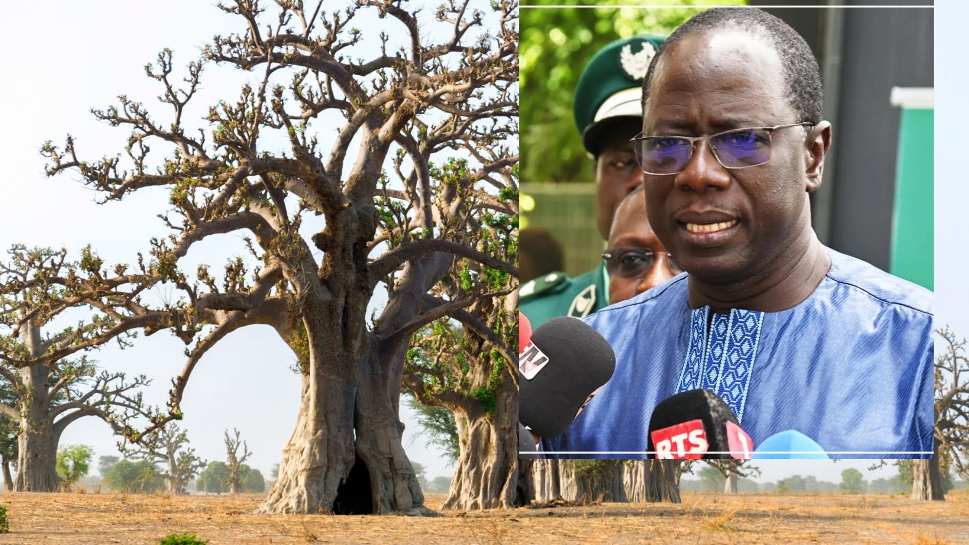 Gestion Durable des Écosystèmes : Aménagement de 13 Forêts dans Cinq Régions du Sénégal Gestion Durable des Écosystèmes : Aménagement de 13 Forêts dans Cinq Régions du Sénégal