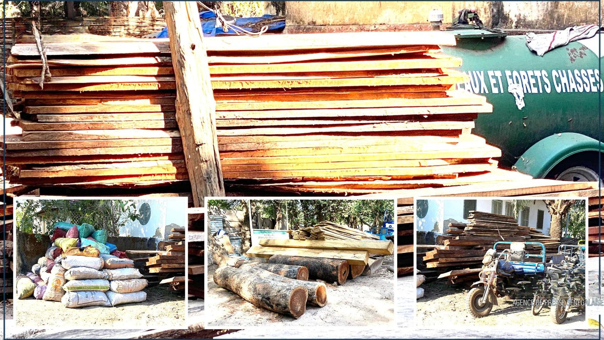 Lutte contre le trafic de bois : 300 millions de FCFA de saisies à Ziguinchor en sept mois