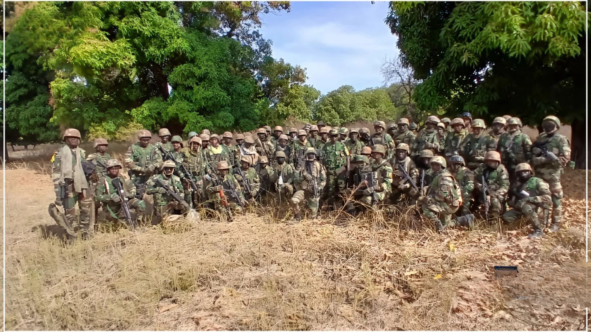 L’Armée détruit plusieurs hectares de champs de chanvre indien à Kolda