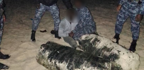 Arrestation de trois individus et saisie de 12 kg de chanvre indien à Kaolack
