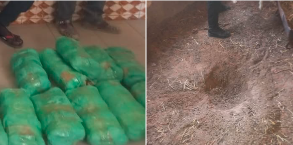 Grosse saisie de drogue à Touba : Le trafiquant cachait du « Yamba » dans son enclos…