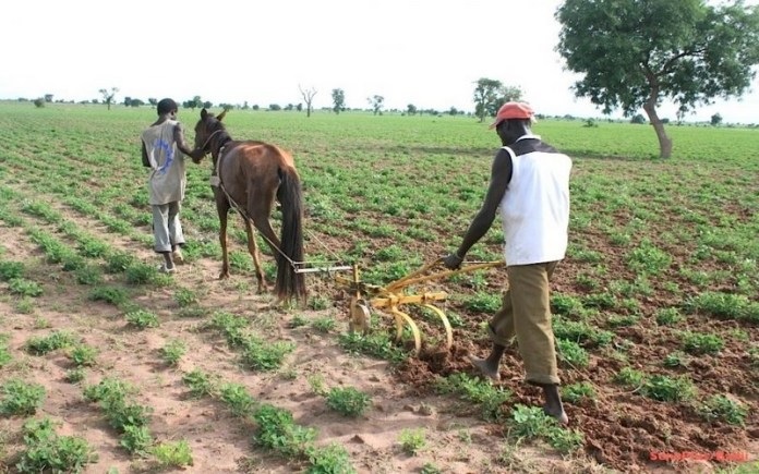 Campagne agricole 2025/2026: Le prix des engrais minéraux connait une baisse