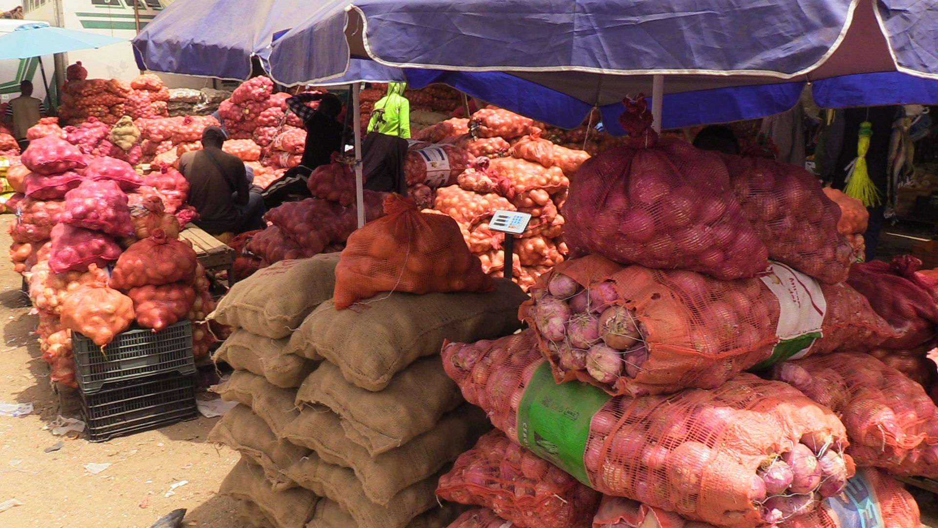 Le Sénégal met fin aux importations d’oignon et de pomme de terre grâce à une production record