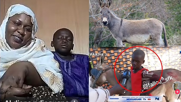 Ameth Ndiaye et son âne : 1,5 million FCFA récoltés pour le petit orphelin…