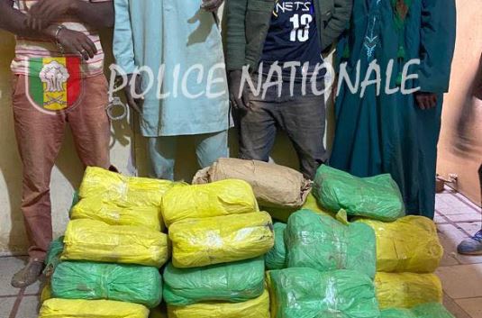 Kaolack : Saisie de 58 kg de chanvre indien par la Brigade Régionale des Stupéfiants