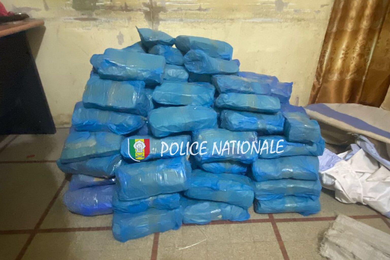 Kaolack: La Brigade Régionale des Stupéfiants (BRS) interpelle un individu en possession 119 kg de chanvre indien