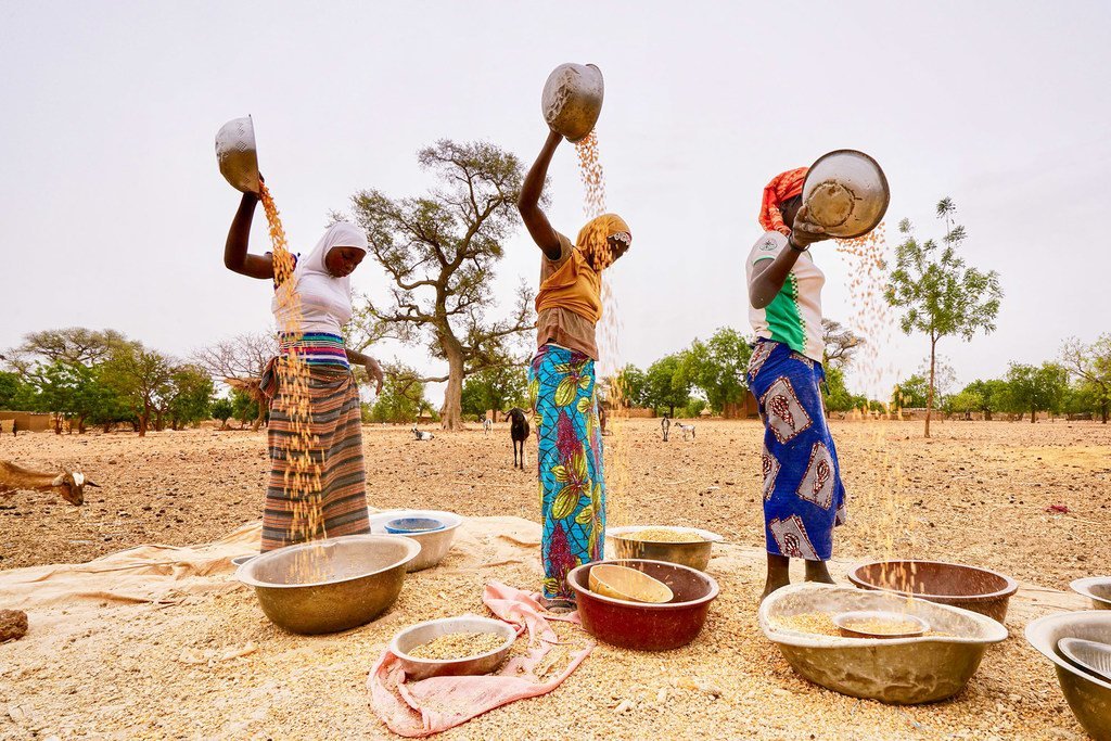 Lancement du Programme FSRP au Sénégal : 230 millions de dollars pour la résilience alimentaire