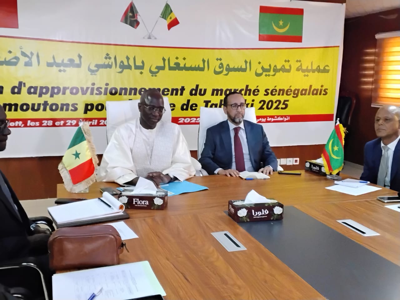Tabaski 2025 : le Sénégal prévoit d’importer 250 000 moutons…